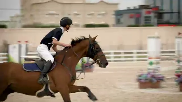 REEAAAEERR.mp4